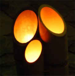 08.11.10 竹燈夜6.jpg