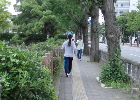 1-15.07.04 早朝散歩-7.jpg