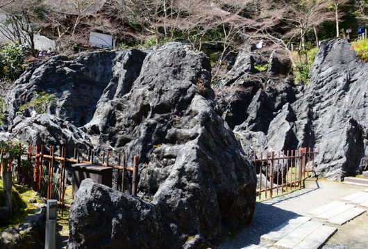 1-16.05.02 １３番 石山寺天然記念物.硅灰石.jpg