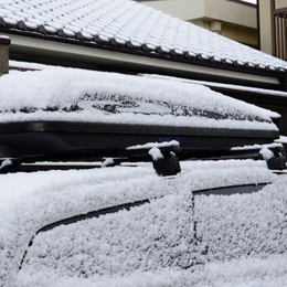 1-17.01.24 積雪-2.jpg