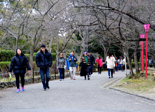 1-18.03.11 和歌山城公園.jpg