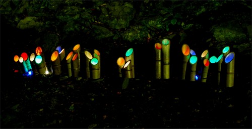 s-08.11.10 竹燈夜4.jpg