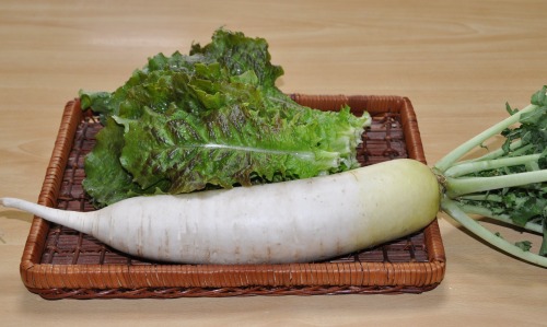 s-09.10.22 大根初収穫とチシャ菜.jpg