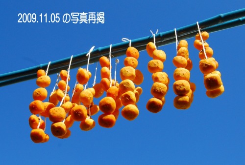 s-09.12.10 吊し柿１１月５日の再掲.jpg