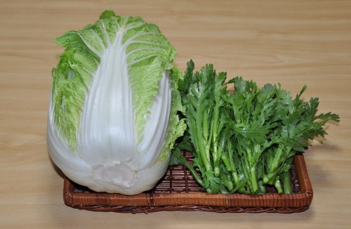 s-09.12.27 今日の収穫．白菜、春菊.jpg