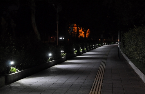s-10.08.26 夜明け前．和歌山城公園への歩道.jpg
